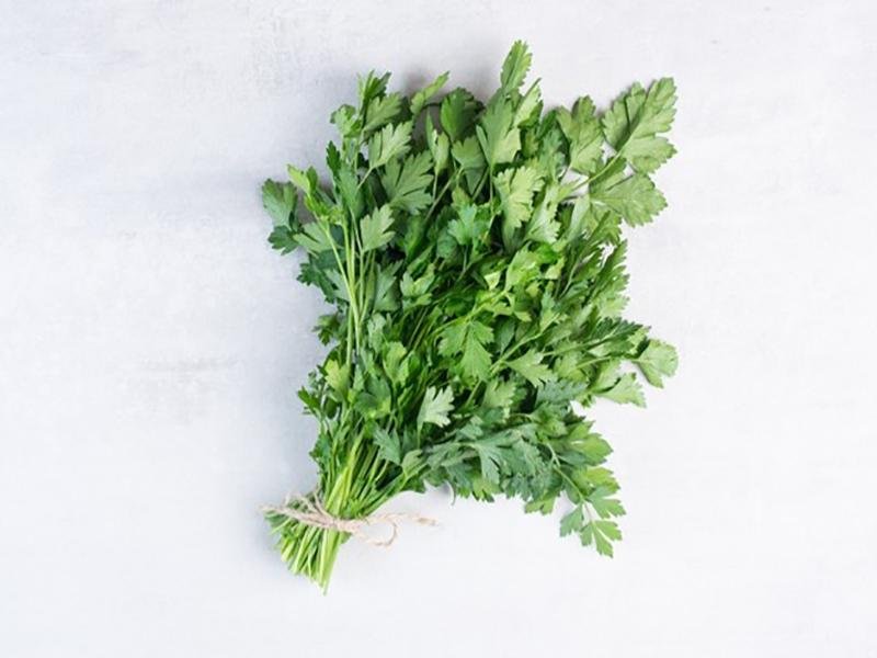 Coriander